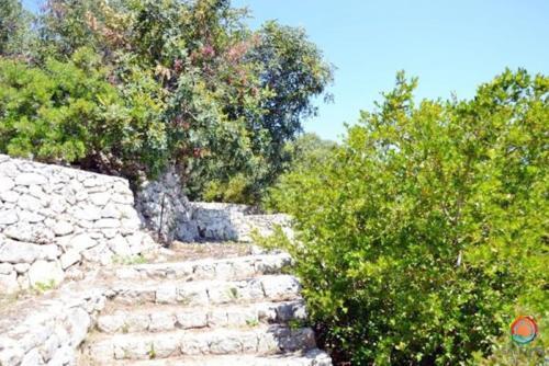 Wonderful Seaview Villa Azzurra