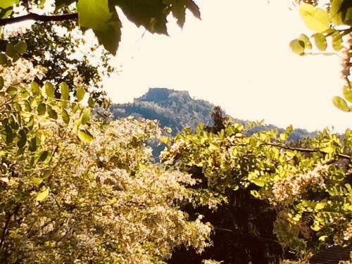 Tana Dell'elfo B&B