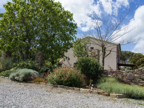 Apartamento Agriturismo Podere Pizzicagallo