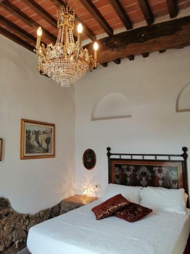Apartamento Casa L Oliveta