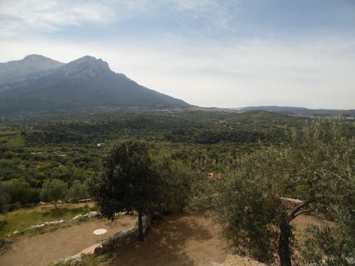 Agroturismo Villa L'oleandro