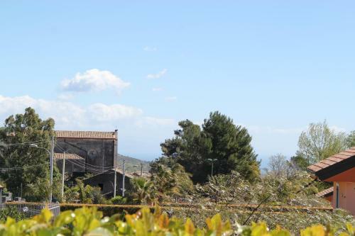 Sicily Sun