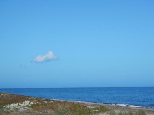 Rico Plage