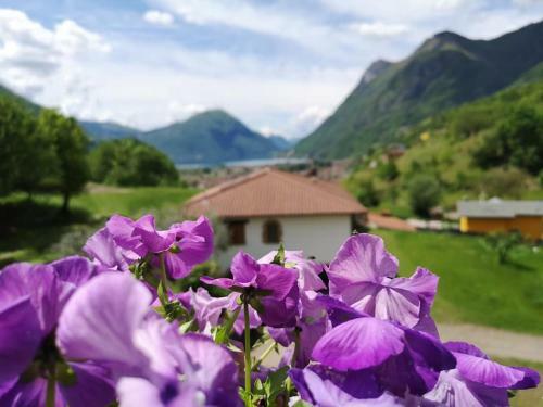 Lago Di Lugano Glamper