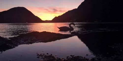 Lago Di Lugano Glamper