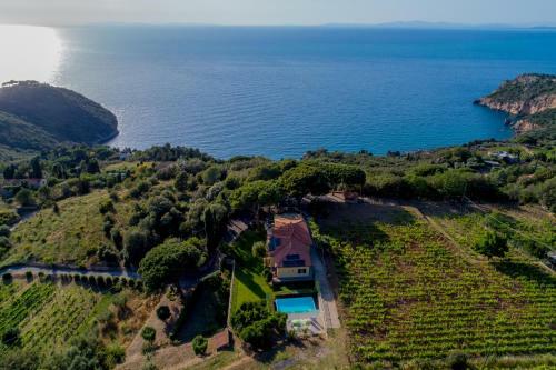 Mediterranean Villa
