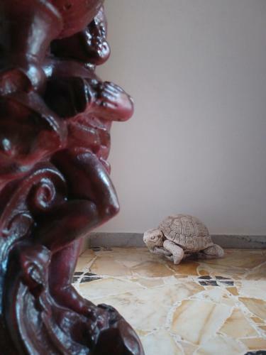 Apartamento Casa Giovanni