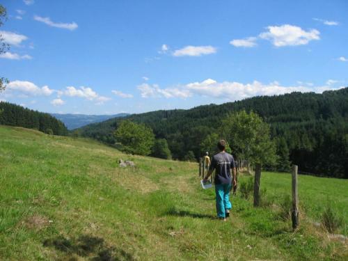 Hostal Maison Neuve Grandval