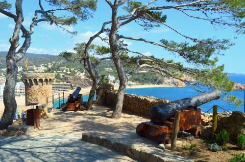 Apartamento Duplex En Cala Salions