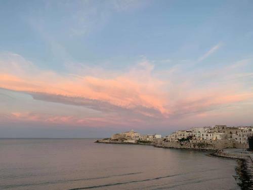 Apartamento Appartamento Via Einaudi