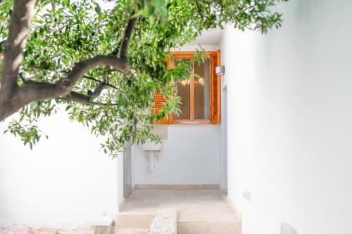 Apartamento Il Giardino Del Mandarino House