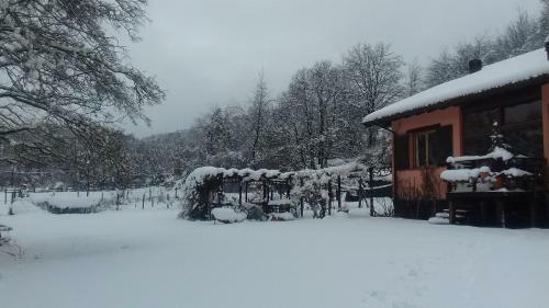 Bed & Breakfast Il Pettirosso Di Giusvalla
