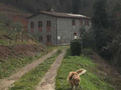 Apartamento La Difesa