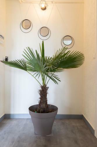 Apartamento L'appartement � Cardaillac