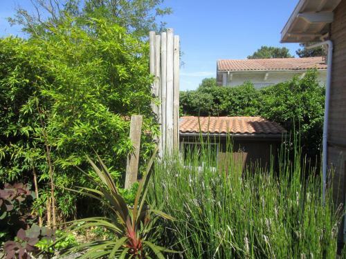 Bed & Breakfast Chambre Proche Dune Du Pyla