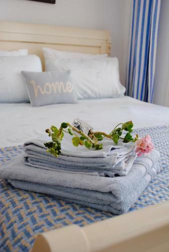 Hostal Sunny Garden Studio