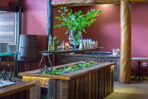 Maquin� Park Hotel