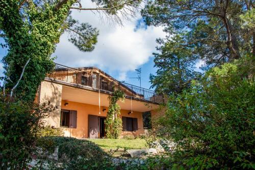 Hypericum Country House