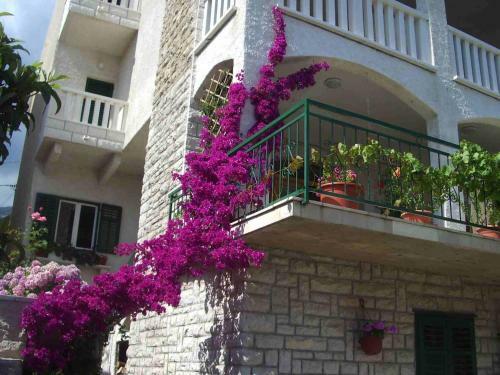Apartmani Sani Bol