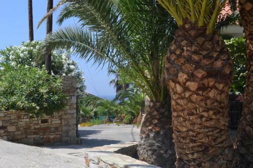 Apartamento Charming House In Armentistis, Ikaria