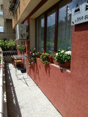 Hostal Stariyat Oreh