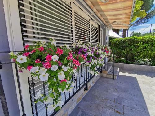 Apartamentos More