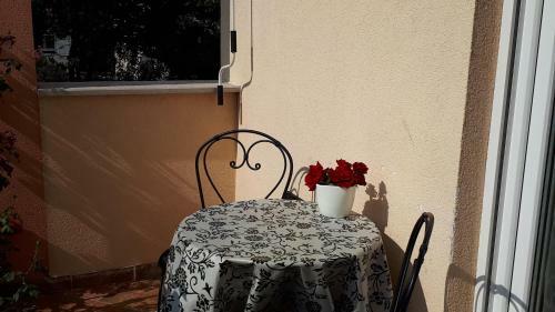 Apartman Kiwi