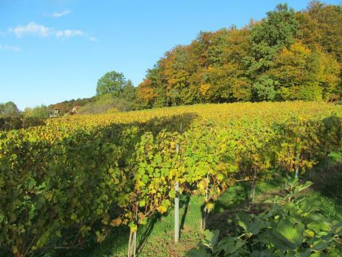 Apartamento Appartement Weingut Schoberhof