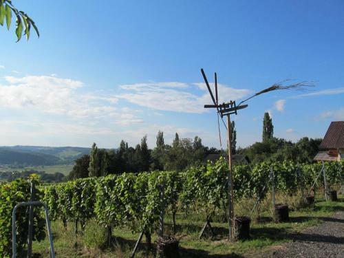 Apartamento Appartement Weingut Schoberhof