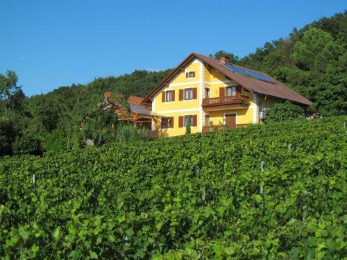 Apartamento Appartement Weingut Schoberhof