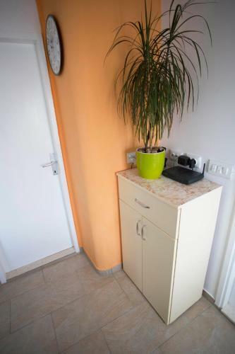 Apartment Migy