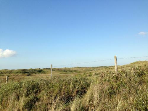 Bungalow Boerenslag 42 In Strandn�he