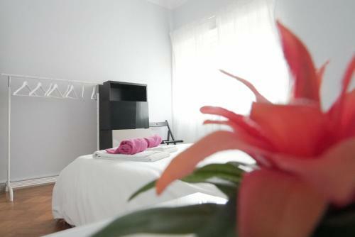Albergue Espinho Surf House