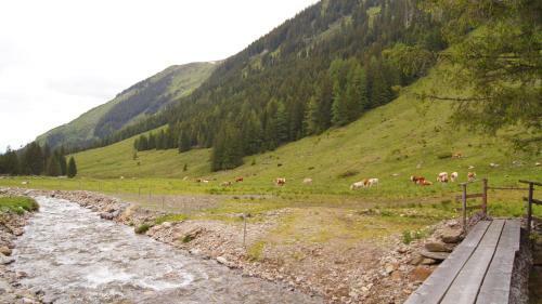 Alpine Chalet - H�ttfeldalm - Almh�tte - Panoramablick