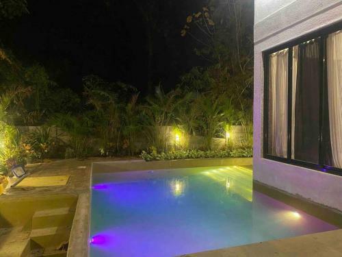 Areca Palm Villa-elixir Beach Farms -3bhk-pool-bbq