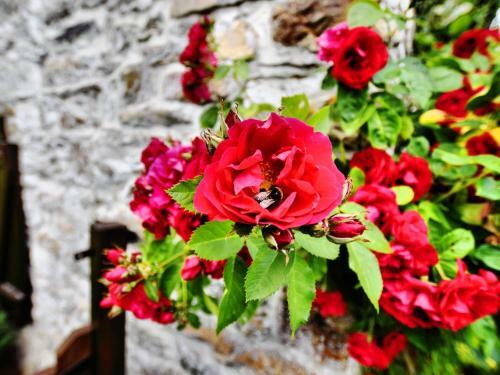 Holiday Home Aux VI Colombages Bihain