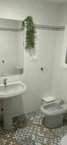 Apartamento Piso Vacacional En Almer�a