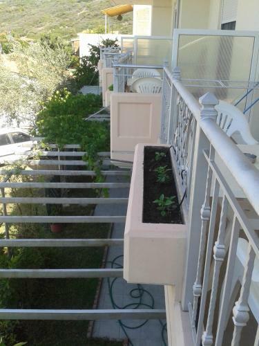 Apartamento Golden Sun