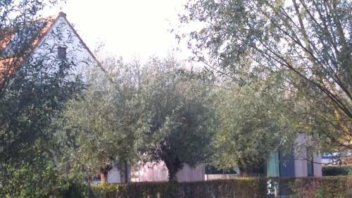 B&B Hier En Nu