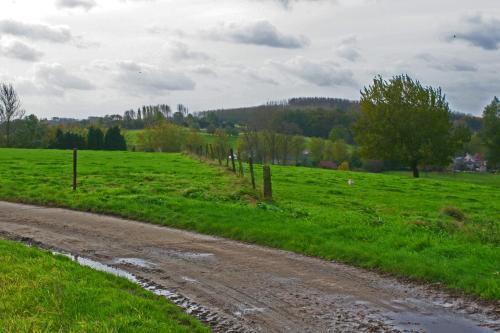 B&B Goudsbloempje