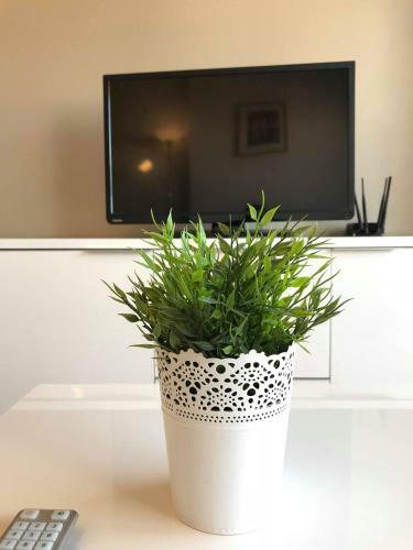 Apartamento 2 Bed 2 Bath Penthouse Ff By Pola At Aps