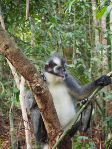 Agroturismo Lucky Bamboo