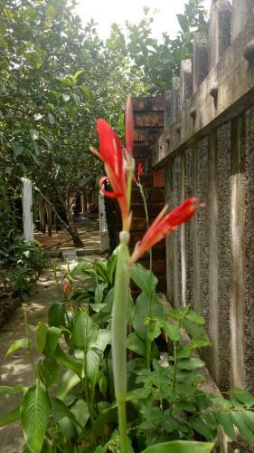 Hostal Tam Tinh Vien Homestay