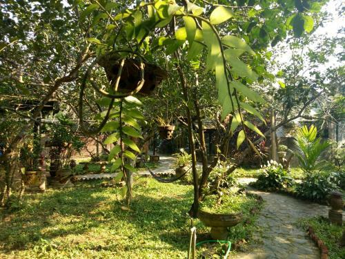 Hostal Tam Tinh Vien Homestay