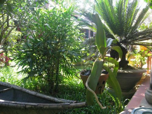 Hostal Tam Tinh Vien Homestay