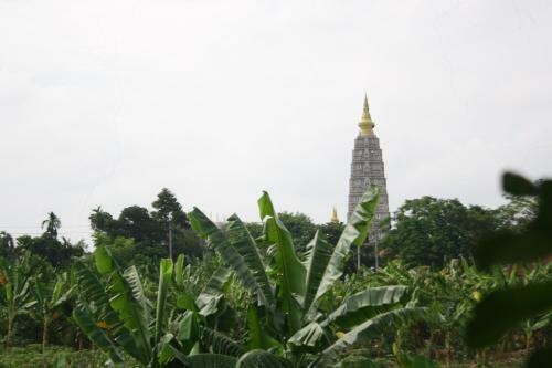 Hostal Tam Tinh Vien Homestay
