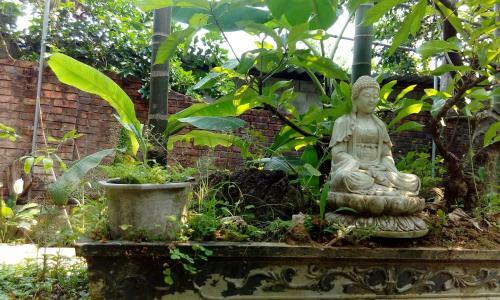 Hostal Tam Tinh Vien Homestay