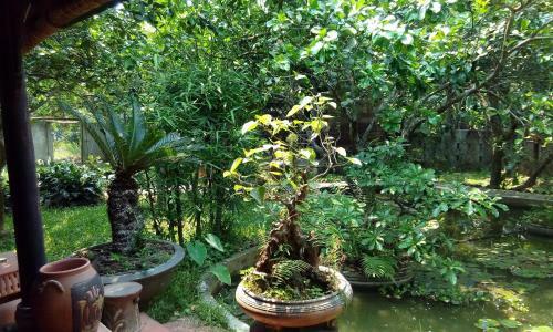 Hostal Tam Tinh Vien Homestay