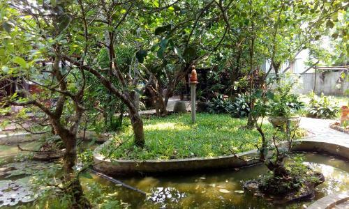 Hostal Tam Tinh Vien Homestay