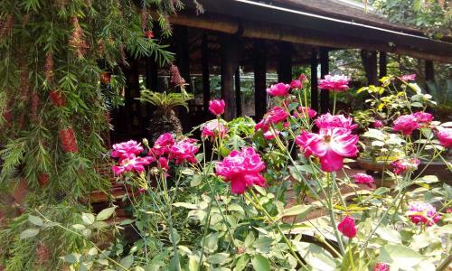 Hostal Tam Tinh Vien Homestay